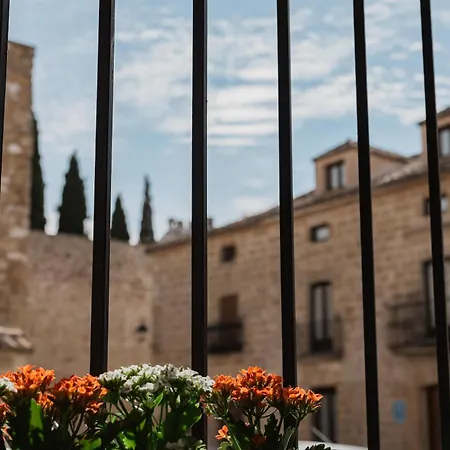 Mar De Olivos Baeza